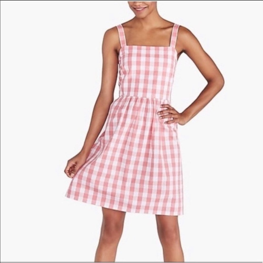 J Crew Factory Pink Gingham Dress, L